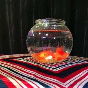 【並行輸入品】MOMOMAGE Magic Goldfish Bowl Small Magic Tricks Fish Appear Empt