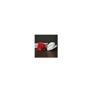 【並行輸入品】SUMAG Roses Disc...の詳細画像1