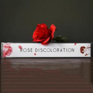 【並行輸入品】SUMAG Roses Disc...の詳細画像4