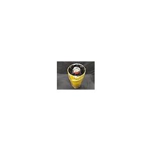 【並行輸入品】Multiplying Bott...の詳細画像5