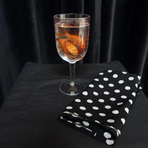 【並行輸入品】MOMOMAGE Goldfish in A Goblet Magic Tricks for Magicians Stage I