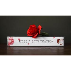 【並行輸入品】blue ther Roses Discoloration (Gimmick Rose) Magic Tricks Stage