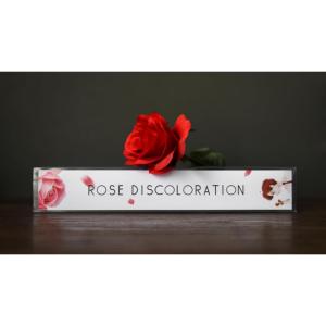 【並行輸入品】blue ther Roses ...の詳細画像3