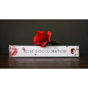 【並行輸入品】blue ther Roses ...の詳細画像4