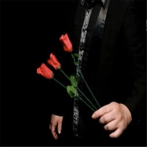 【並行輸入品】MOMOMAGE Multiplying Torches to Roses Magic Tricks Stage Street