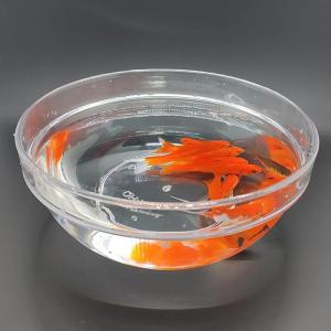 【並行輸入品】MOMOMAGE Appearing Fish Tank Magic Tricks for Magicians Stage Cl