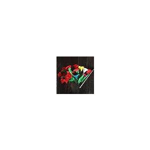 【並行輸入品】MOMOMAGE Appeari...の詳細画像1