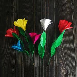 【並行輸入品】MOMOMAGE Appeari...の詳細画像2