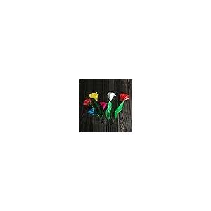 【並行輸入品】MOMOMAGE Appeari...の詳細画像3