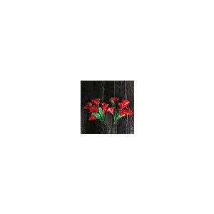 【並行輸入品】MOMOMAGE Appeari...の詳細画像5