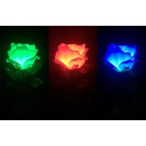 【並行輸入品】MOMOMAGE Three Color Light Rose (Remote Control) Magic Tricks St