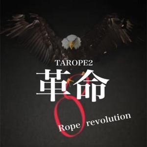 【並行輸入品】ZQION Tarope2 Ro...の詳細画像3