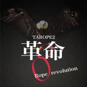 【並行輸入品】ZQION Tarope2 Ro...の詳細画像4