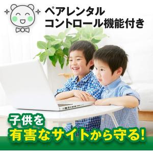 AdGuard パーソナル 3デバイス 永続ラ...の詳細画像5