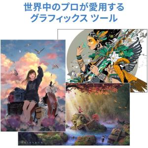 Clip Studio Paint Pro 永...の詳細画像1