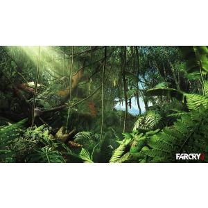 FAR CRY 3 [PC・ダウンロード版] ...の詳細画像1