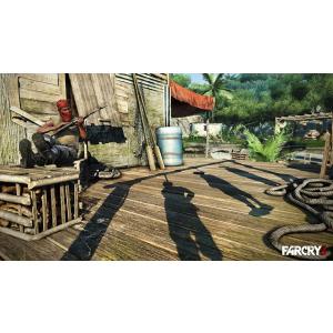 FAR CRY 3 [PC・ダウンロード版] ...の詳細画像3