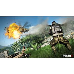 FAR CRY 3 [PC・ダウンロード版] ...の詳細画像4