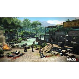 FAR CRY 3 [PC・ダウンロード版] ...の詳細画像5