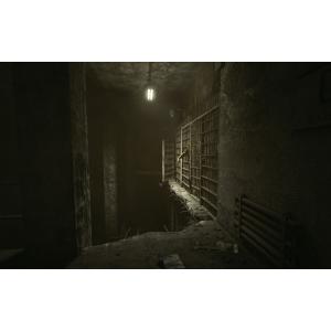 OUTLAST(アウトラスト)[PC/STEA...の詳細画像4