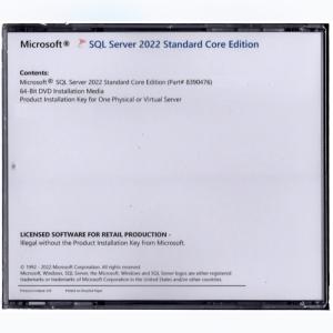 SQL Server 2022 Standar...の詳細画像1