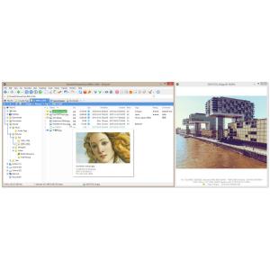 ファイルマネージャー XYplorer 日本語...の詳細画像1