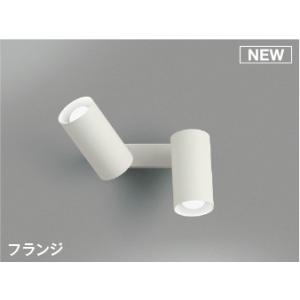 岩崎電気 EXICL7041SA9PD-22 レディオック 防爆形塗装ブース用LED照明