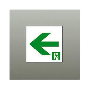 大光電機 DAIKO LED誘導灯パネル C級（10形） （本体別売） DP