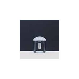 トフスラン専用　ビカクシダ ビカクシダ P.'Moomin'(P.Pewchan 'Compact' x P.Tonkla BS)1