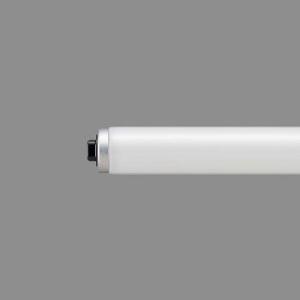 Panasonic（パナソニック） セラメタプレミアS（水銀灯系） EU10
