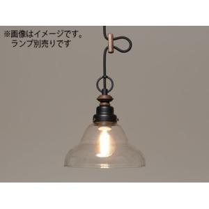 Panasonic（パナソニック） 蛍光水銀灯（水銀ランプ） 一般形 40W
