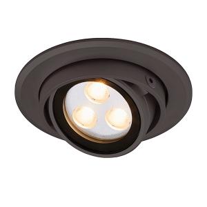 タカショー ダウンライト 3型 薄型タイプ 12V/24V 電球色 取付穴φ52mm