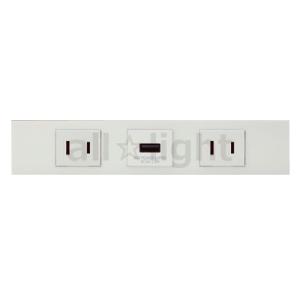 TERADA 壁用プッシュコンセント UCWシリーズ 電源×2 15A 125V