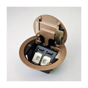 ＴＥＲＡＤＡ　フロアコンセント テラコン プラグ収納コンセント LCRプレート器具(CAT5E×2／...