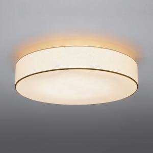 Panasonic（パナソニック） 水銀灯用安定器 （100V用 一般形 1灯用 高