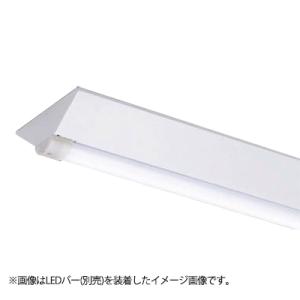 TOSHIBA（東芝） LEDベースライト TENQOO 器具本体 防湿・防雨形 直付