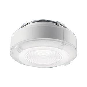 冨士電球 ハロゲン電球 JCD 光学用ダブルコイルタイプ GX9．5