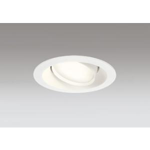 ＯＤＥＬＩＣ　ダウンライト　埋込穴φ125mm　電球色　LEDランプ付き　BT調光　コネクテッドライティング　OD361245BL