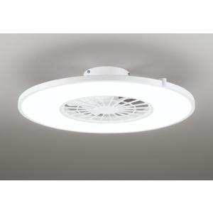 ODELIC（オーデリック） 昇降機 電動昇降装置 電動昇降装置