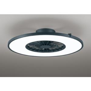 【値下げしました】昇降機 オーデリック(ODELIC) オーデリック (ODELIC) <br>昇降機<br> OA076220P1<br><br>【工事必要