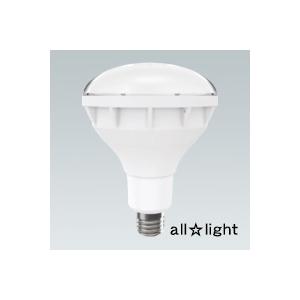 遠藤照明 ENDO LEDZ LAMP LED電球 バラストレス水銀レフ160W形相当