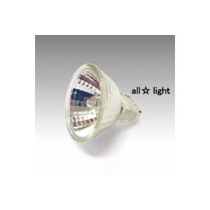 フローレックス　ファイバーツリー（クリスマ�