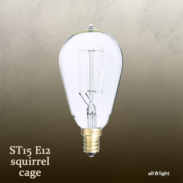 ★　ミニエジソンバルブ（エジソン電球）　ナス球形　ＳＴ１５　Ｅ１２　１１０Ｖ　２５Ｗ　Ｓｑｕｉｒｒｅ...