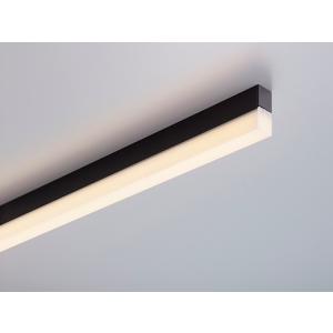 DNライティング TRIM LINE LED照明器具 TRE2‐APL 調光兼用型 スクエア