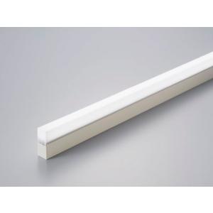 DNライティング TRIM LINE LED照明器具 間接照明 TRE2‐APL 調光兼用