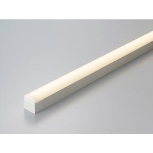 DNライティング TRIM LINE LED照明器具 間接照明 TRM D-FPL 調光兼用型