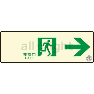 エルティーアイ 中輝度蓄光式誘導標識 TSN シリーズ 100mm×300mm 通路誘導標識 右矢印 JBクラス対応品 TSN901