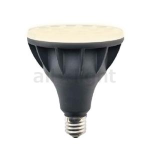 ニッケンハードウェア　Viewlamp LED電球 ビーム球 屋外サイン用 挟角 バラストレス水銀灯...