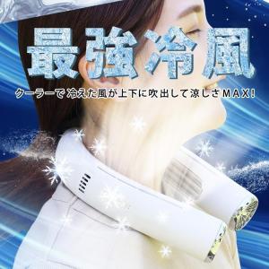 ネッククーラー 冷却プレート付 熱中症対策 節...の詳細画像1