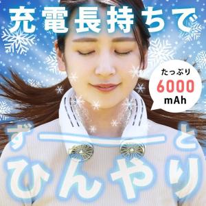 ネッククーラー 冷却プレート付 熱中症対策 節...の詳細画像3